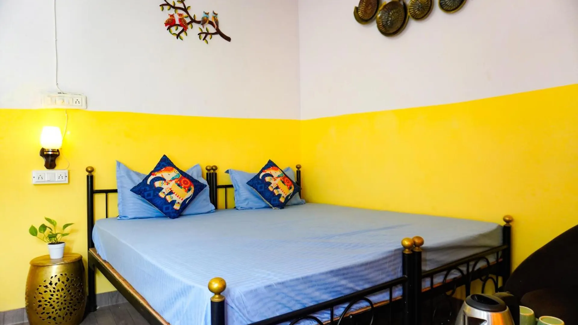 Hype Hostel Udaipur